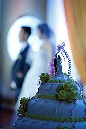 《赛马娘》Steam美版好评热议 老外玩家居然反映难度好高